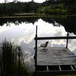 Lloyd Puckett - @focusgroup4u - Instagram