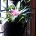 Lloyd Rittenhouse - Facebook