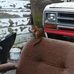 Lloyd Robson - Facebook
