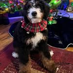 Kathy Root Lloyd - @rootlloyd - Instagram
