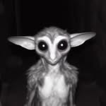 lenon lloyd dolly root - @d0llyday - Instagram