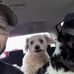 Lloyd Hollmann-Root - Facebook