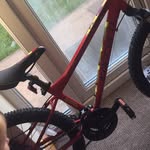 Lloyd Stapleton - @lloydstapez08 - Instagram