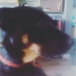 lloyd-strange - @lloydstrange123 - Instagram
