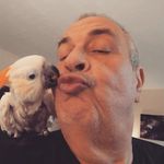 Lloyd Sutherland - @dribdom - Instagram