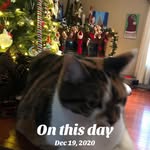 Lloyd Todd Russett - @todd.russett - Instagram
