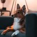 Loyd Varner - Facebook