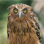 Lloyd Weir - @lloyd_weir - Instagram