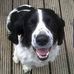 Lloyd Wells - Facebook