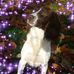 Lloyd Withington - Facebook