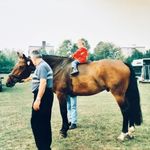 Wilder - @wilder.lloyd6dka - Instagram