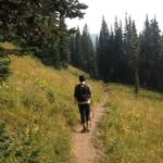 Lloyd Wingard - @wingardlloyd - Instagram