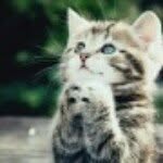 алёна - @lloydwinner2313 - Instagram