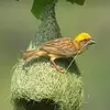 lloydwinnkhata175 - @lloydwinnkhata175 - TikTok