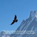 Lloyd Wold - Facebook