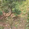 Loan Diep536tiktok.com/@l - @loandiep31 - TikTok