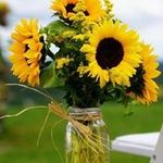 Thanh Loan Khưu - @thanhloankhuu - Instagram