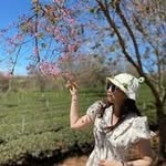 Hồng Loan - @ho_onglo_an - Instagram