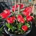 Loan Phuc - Facebook