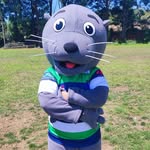 El lobito de Puerto Montt - @lobito_rugby - Instagram