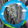Loc Nhan - @loc.nhan4 - TikTok
