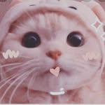meo😸😸 - @loc.nhan.756 - Instagram