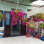 Phú Lộc - @loc.phu.9440 - Instagram