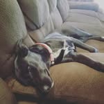 lochie hall - @halllochie - Instagram