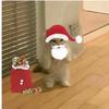 Lochlan Martin - @lochlan.martin - TikTok