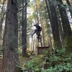 Lochlan Shaw - Facebook