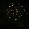 lochlan shaw - @shawzy5077 - TikTok