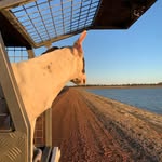 Lochlan Wilson - @lochy.wilson - Instagram