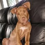 Lochlan Wilson - Facebook