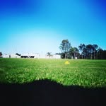 Lachlan Anderson - @ando_lockie - Instagram