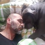 Loco Papi - @triple_a_dogz - Instagram