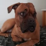 Logan Ackerman - @logan_ackerman08 - Instagram