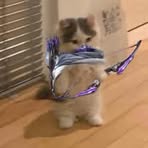 Logan Ackerman - Facebook