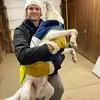 Logan_adams75 - @logan_adams1234 - TikTok