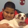 Logan Anthony - @logan.anthony0008 - TikTok