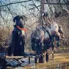 Logan Archer - @loganarcher6 - TikTok