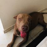 Logan Arias O - @logan_03a - Instagram