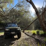 Logan Atkinson - @logan.atkinson.906 - Instagram