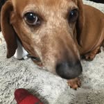 Logan baggett - @ieat_ebestos - Instagram