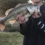 Logan Baggett - @logan.baggett - Instagram