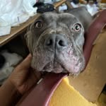 Logan Bagley - @lodown10 - Instagram