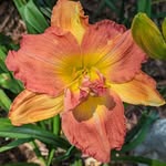 Logan Humphries Bagley - @bagleylogan - Instagram
