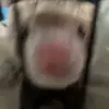 Logan Bales - @pokamaster33 - TikTok