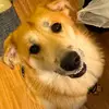loganbales - @logan.bales - TikTok