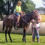 logan barton - @loganbarton62 - Instagram