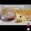 loganbarton3131 - @loganbarton3131 - TikTok